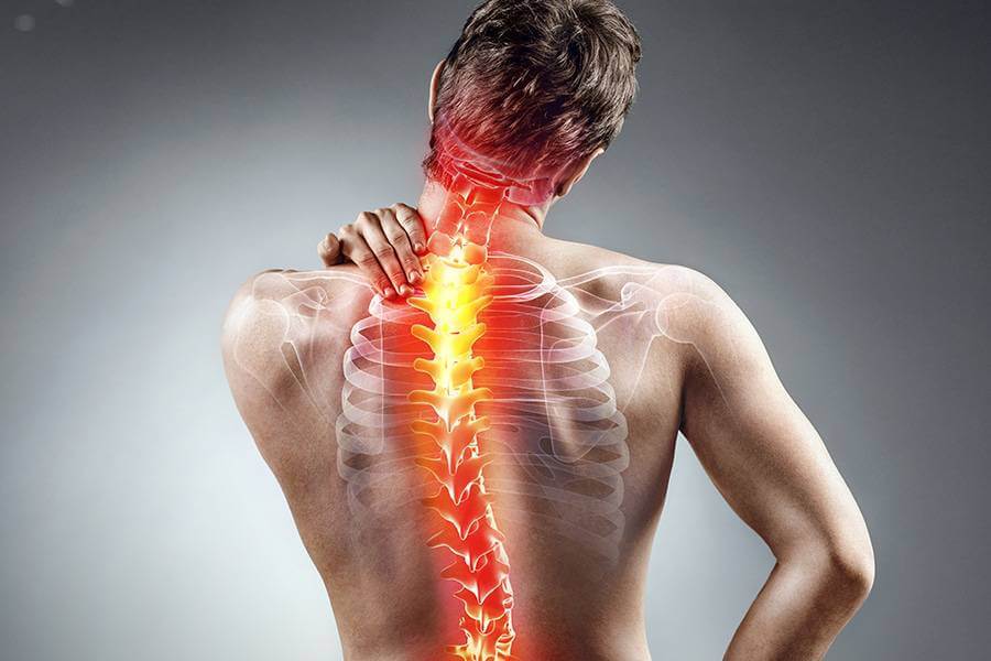 The Anatomy of Back Pain: What You Need To Know