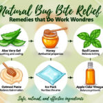 Natural Bug Bite Relief Remedies that Do Work Wonders